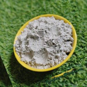 Pacha Payaru / Green Gram Kanji Premix - 100 g